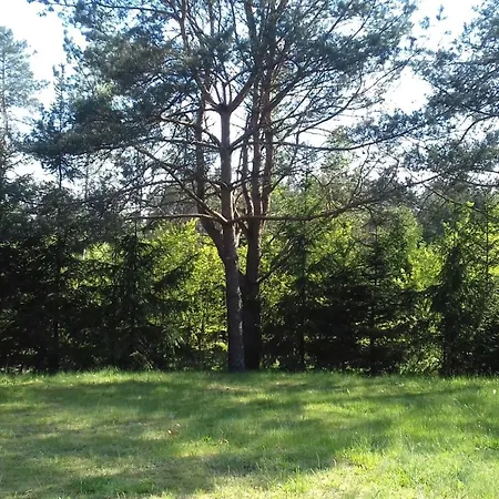 Natura Lipusz