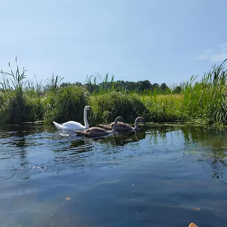 شقة Natura Lipusz